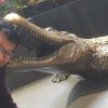 Naar het reptielenhuis in Breda – verhaal en foto’s door Bo