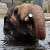 Groetjes uit de Beemster!  Verslag en foto’s door Charlotte