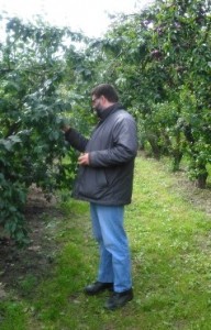Fruit plukken_02