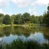 wildpark Bocholt en vissen