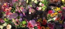 Bedankt voor de bloemen!! Bedankt voor de bloemen!!
