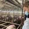 Met het werkgebied dieren op bezoek bij varkensboerderij De Heide