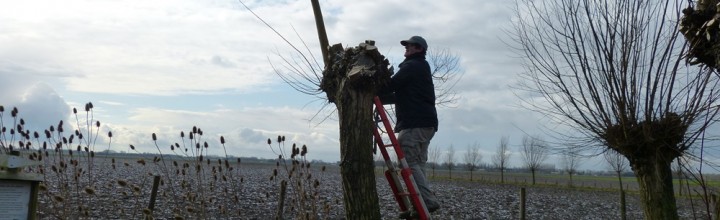 Foto impressie laatste dag knotten