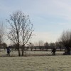 Het is koud….erg koud…..en wij: gaan knotten! Verslag door Koen, foto’s door Mijke