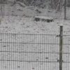 Winterse impressie – foto’s door Roland
