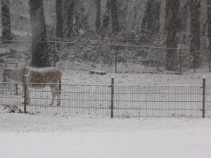 Winter door Roland_04Lweb