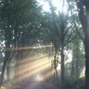 Vacature Teamleider voor onze (hoofd)locatie te Putte
