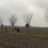 Knotten in Stampersgat, verhaal door Birgit en Cees Biskop