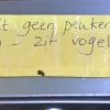 Rare vogels
