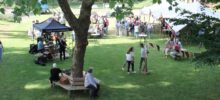22 mei: mijlpalenfeest! 22 mei: mijlpalenfeest!