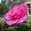 Winter in de tuin van Titurel